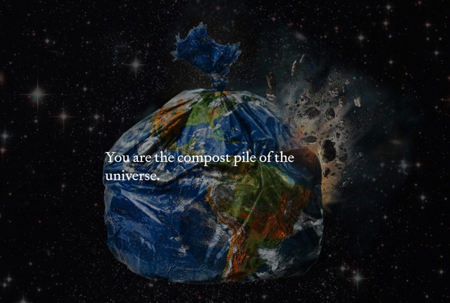 You are the compost pile of the universe.