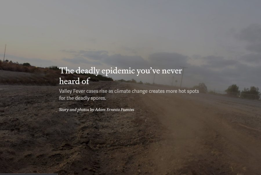 The deadly epidemic you’ve never heard of