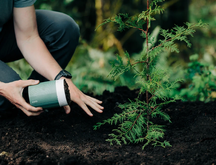 Container with post-transformation soil for planting, spreading or keeping. 